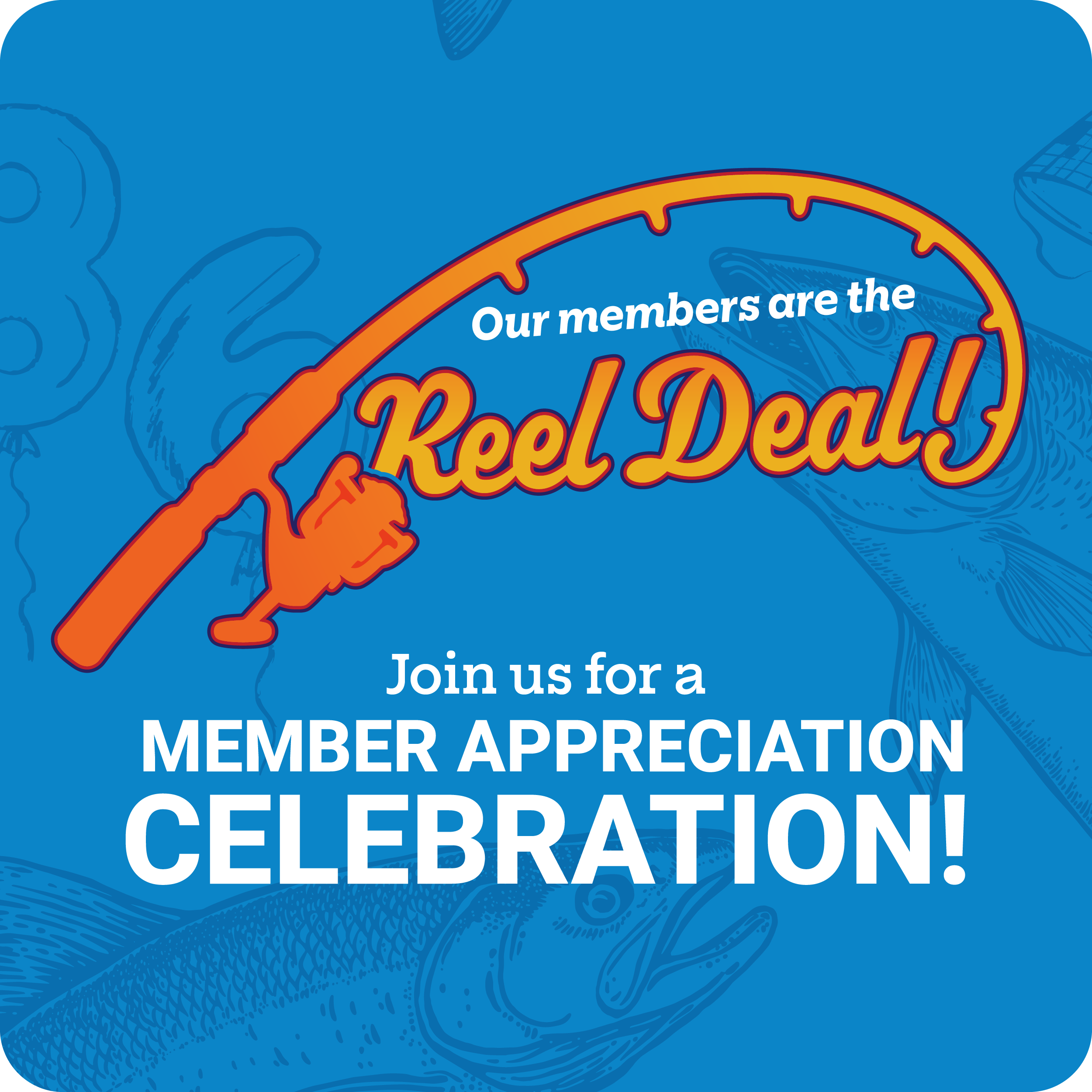 Member Appreciation